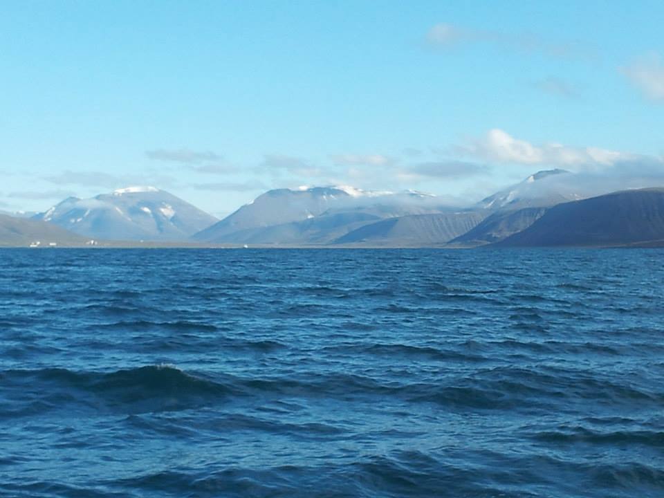 935870_10151741555632988_326813977_n